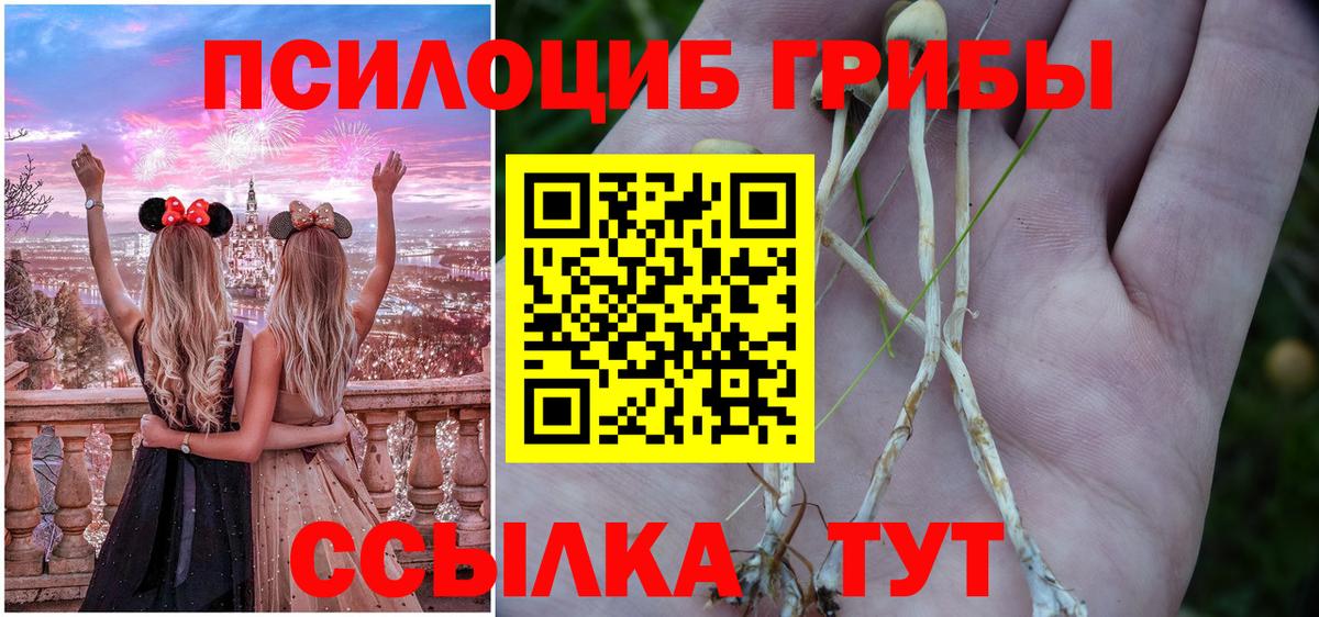 Галлюциногенные грибы MAGIC MUSHROOMS  Вход с VPN  Галлюциногенные грибы мухоморы  как найти закладки  Железноводск 