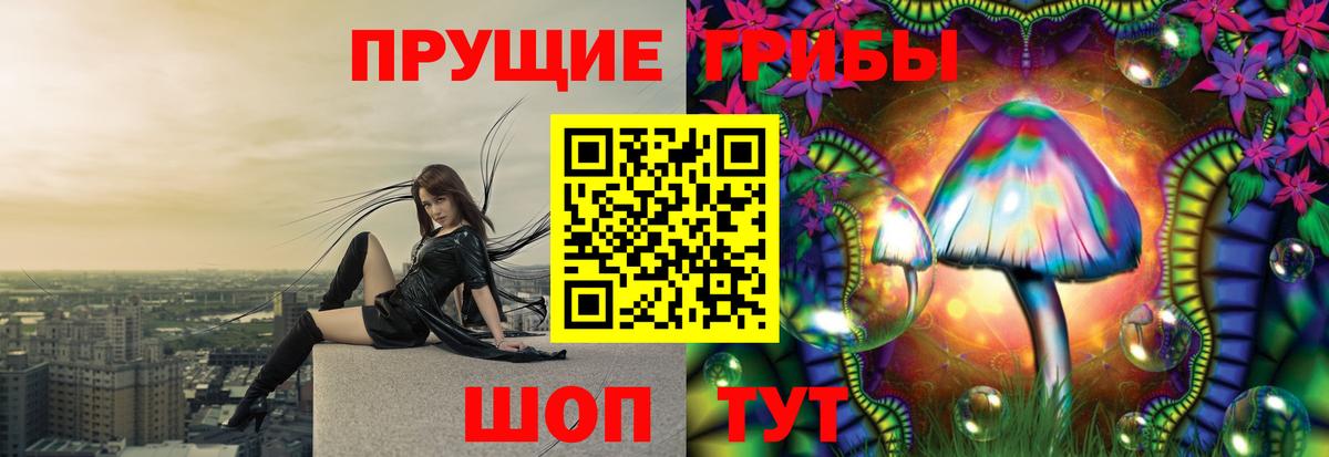 Псилоцибиновые грибы Psilocybine cubensis Железноводск